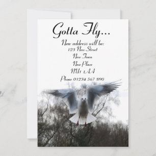 Gotta Fly - Nya adress kort