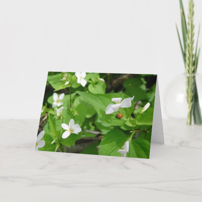 Gotta Kärlek Ladybugs (3) gratulationskort Kort (Framsida)