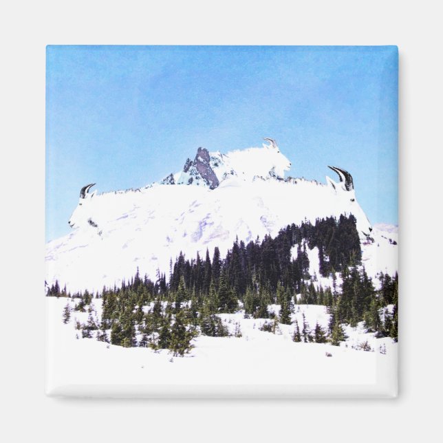Gottberget Magnet (Framsidan)