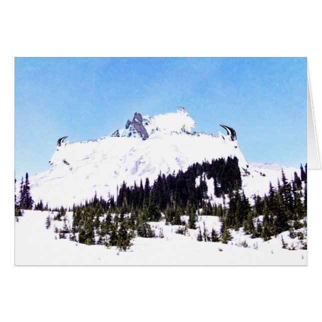 Gottberget OBS Kort (Framsidan Horizontal)