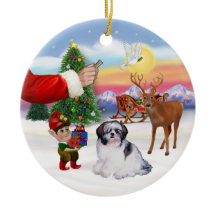 Gottis för en Shih Tzu (A)