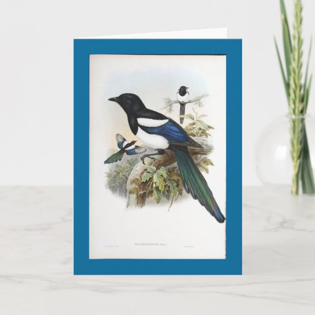 Gould - Bootan skata Kort (Framsida)