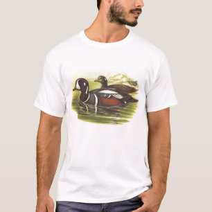 Gould - Harlequinanka - Histrionicus histrionicus Tee Shirt