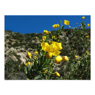Gould Mesa Trail, CA Fototryck