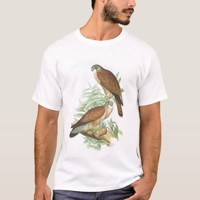 Gould - tornfalk - Falcotinnunculus T Shirt (Framsida)