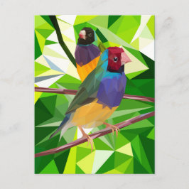 Gouldian Finch Duo Vykort
