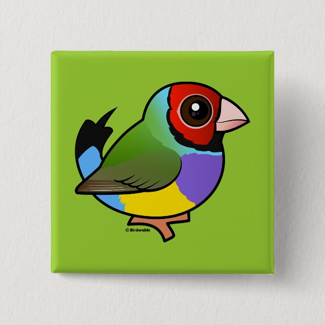 Gouldian Finch Knapp (Framsida)
