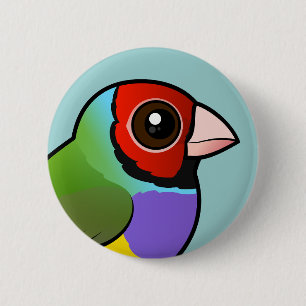 Gouldian Finch Knapp