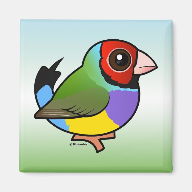 Gouldian Finch Magnet (Framsidan)