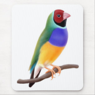 Gouldian Finch Mousepad Musmatta