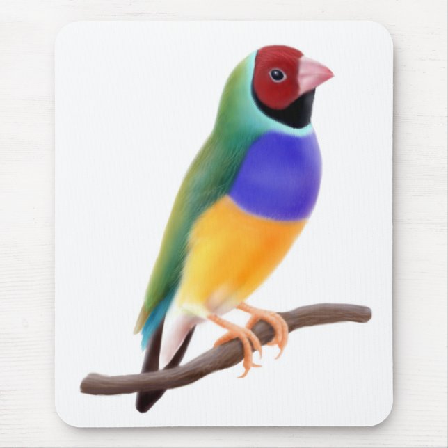 Gouldian Finch Mousepad Musmatta (Framsidan)