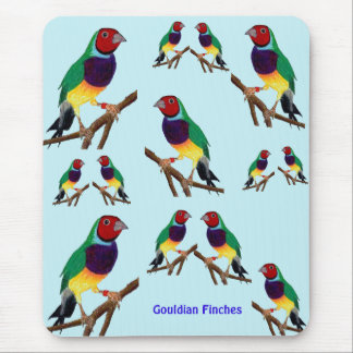~ Gouldian Finch ~ Original Art ~ Mouse Pad Musmatta