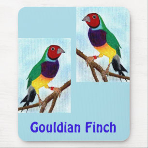 ~ Gouldian Finch ~ Original Art ~ Mouse Pad Musmatta