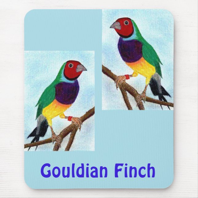 ~ Gouldian Finch ~ Original Art ~ Mouse Pad Musmatta (Framsidan)