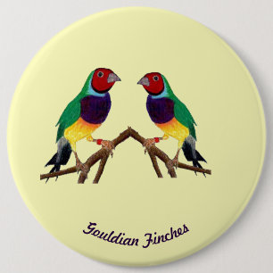~ Gouldian Finch ~ Personlig ~ Knapp