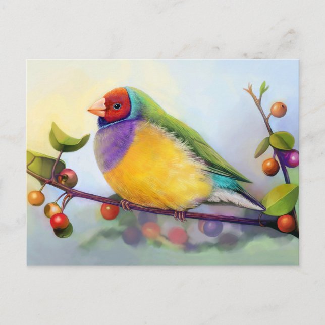 Gouldian Finch, realistisk målning Vykort (Framsida)