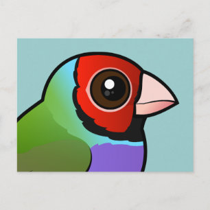 Gouldian Finch Vykort