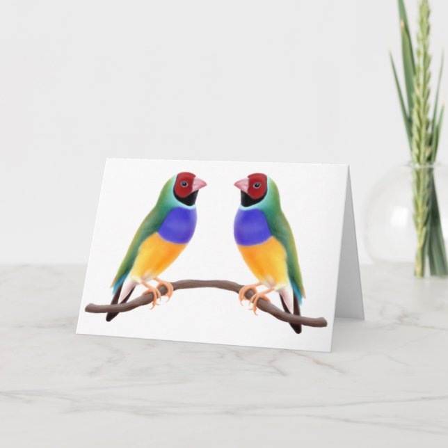 Gouldian Finchvänner Kort (Framsida)