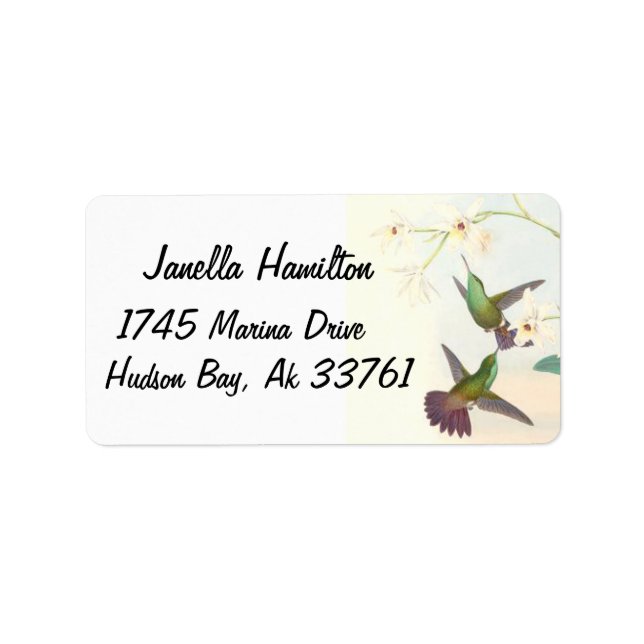 Goulds Hummingbird Adressetiketter (Framsidan)