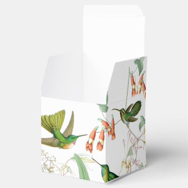 Goulds Hummingbird Favbox Presentaskar (Öppnad)