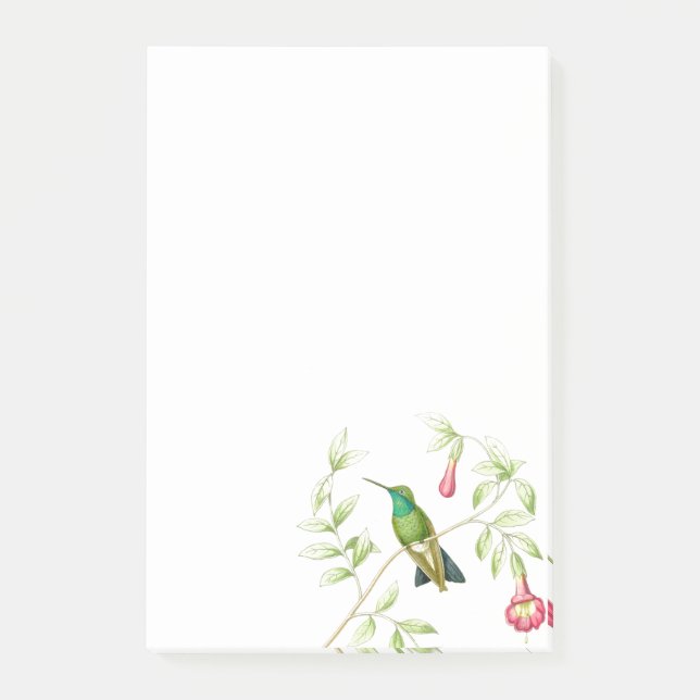 Goulds Hummingbirds postar det noterar Post-it Block (Framsida)