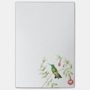 Goulds Hummingbirds postar det noterar Post-it Block