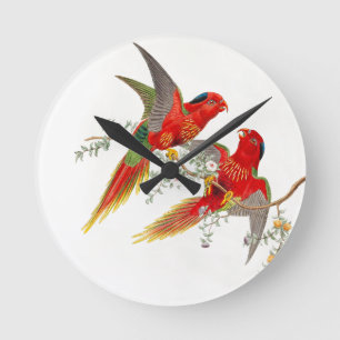 Goulds Lorikeet fåglar tar tid på Rund Klocka