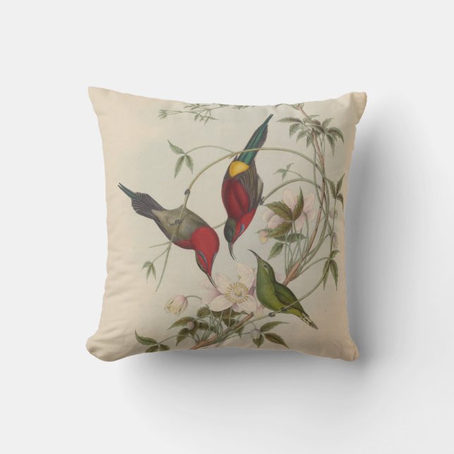 Goulpourah Sun-Bird av John Gould Kudde (Framsida)