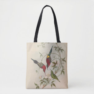 Goulpourah Sun-Bird av John Gould Tygkasse