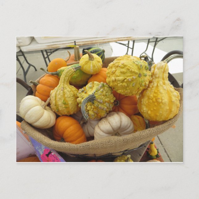 Gourd Basket Vykort (Framsida)