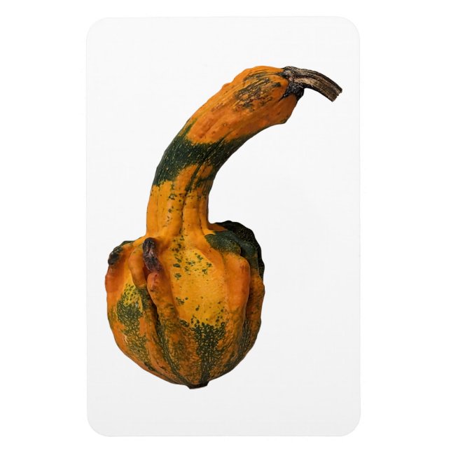 Gourd Photo Magnet (Vertikal)