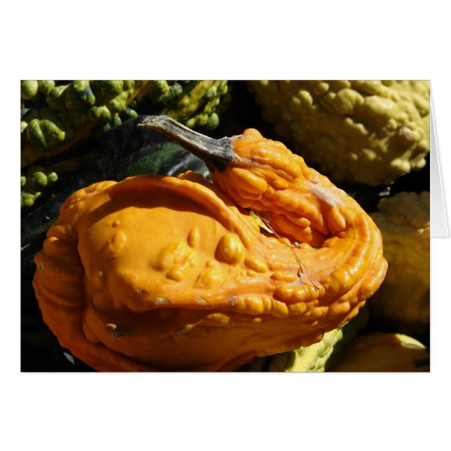 Gourd som ser ut som en Anka Hälsningskort (Framsidan Horizontal)