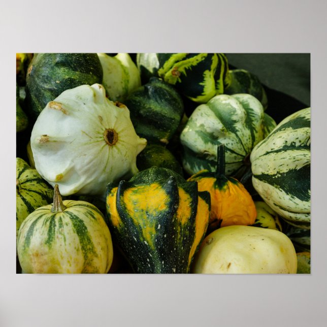 Gourds Galore Poster (Framsidan)