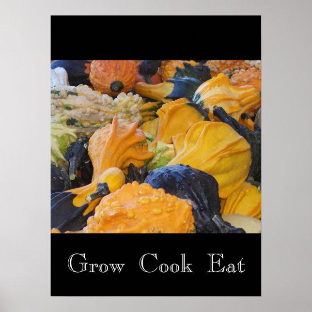 Gourds-Grow Cook Eat Poster (Framsidan)