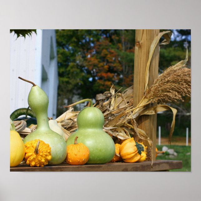 Gourds Maj Stalks Farm Ställthöst Poster (Framsidan)