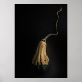 Gourds No 12 Color Version Poster