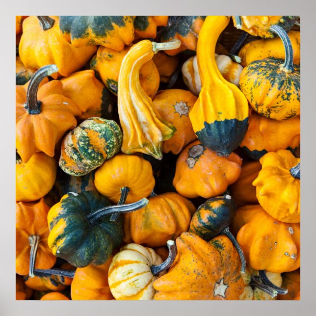 Gourds Poster (Framsidan)