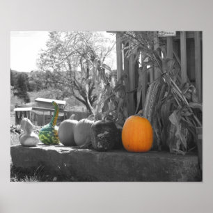 Gourds Pumpkins Cornstalks Partial Färg Poster