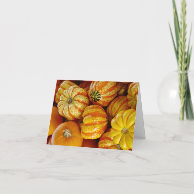 Gourds Pumpkins Fall Autumn Thanksgiving Anteckningskort (Framsida)