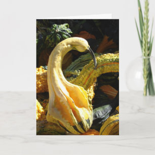 Gourds, tack för vännen helgkort