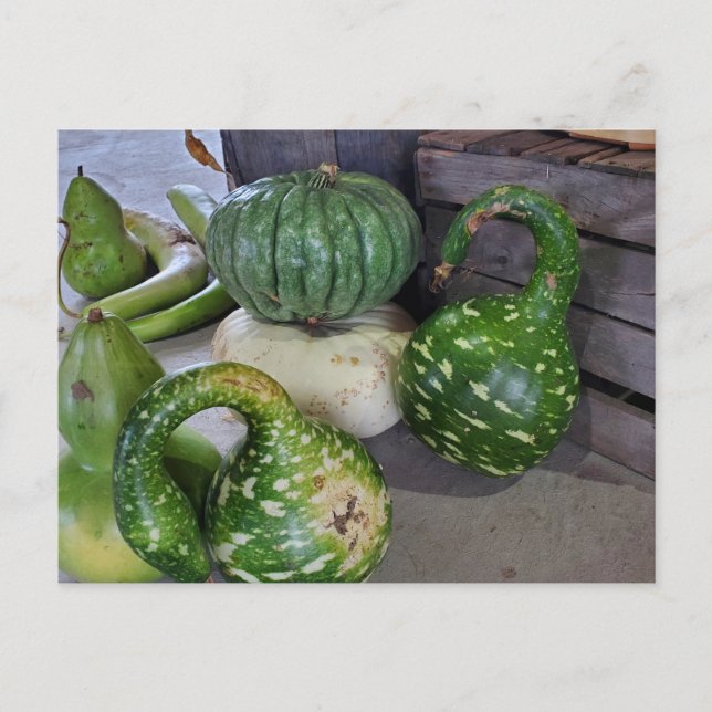 Gourds Vykort (Framsida)