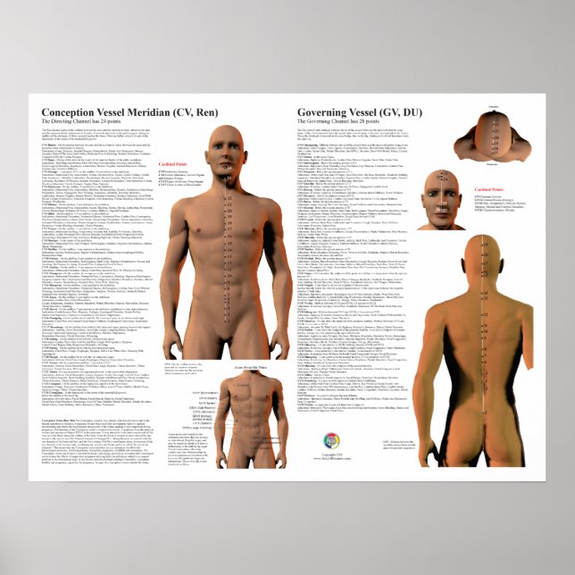 Governing Meridian Acupuncture Points Poster (Framsidan)