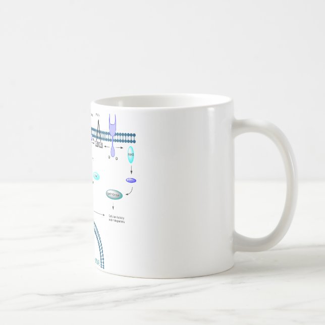 GPCR-bana Kaffemugg (Höger)