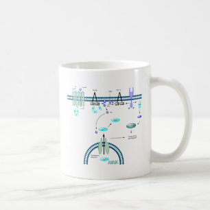 GPCR-bana Kaffemugg