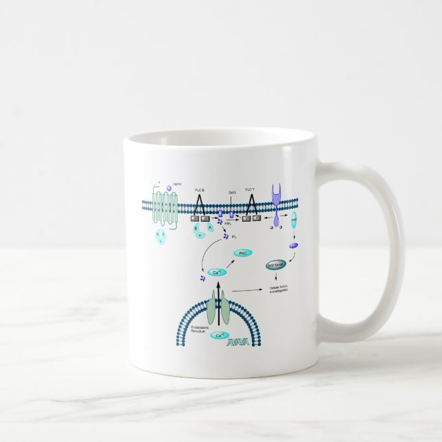 GPCR-bana Kaffemugg (Höger)