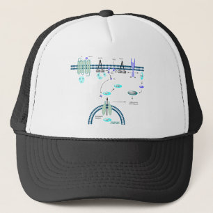 GPCR-bana Truckerkeps