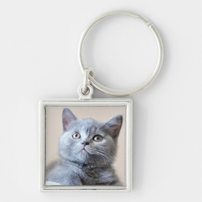 Grå brittisk Shorthair katt Fyrkantig Silverfärgad Nyckelring (Framsidan)