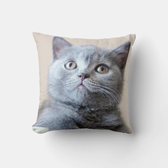 Grå brittisk Shorthair katt Kudde (Framsida)