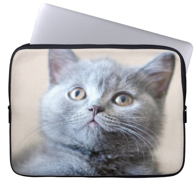 Grå brittisk Shorthair katt Laptop Sleeve (Framsidan)