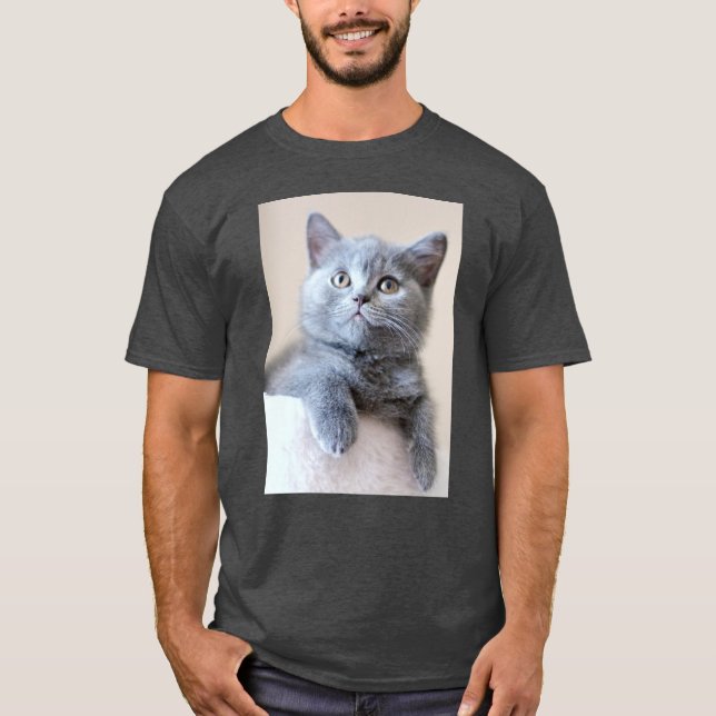 Grå brittisk Shorthair katt T-shirt (Framsida)